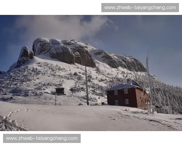 喀尔巴阡之鹰对垒北欧海盗:当罗马尼亚的灵性遇上丹麦的坚韧 喀尔巴阡之鹰对垒北欧海盗:当罗马尼亚的灵性遇上丹麦的坚韧